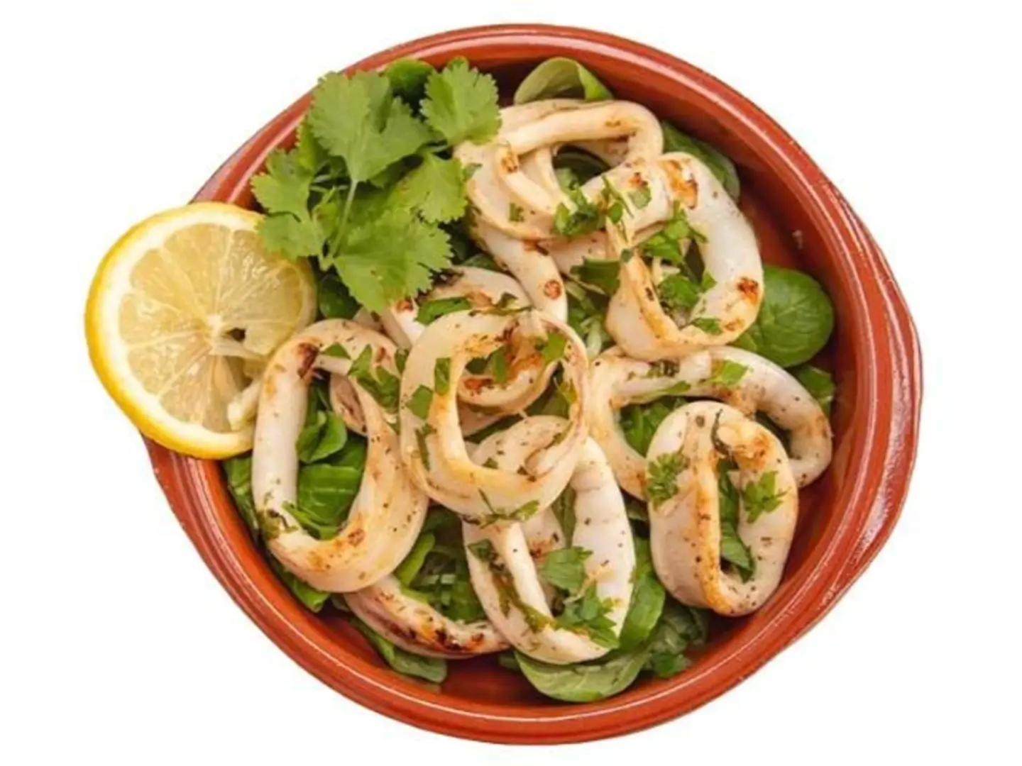 Calamari Provencal