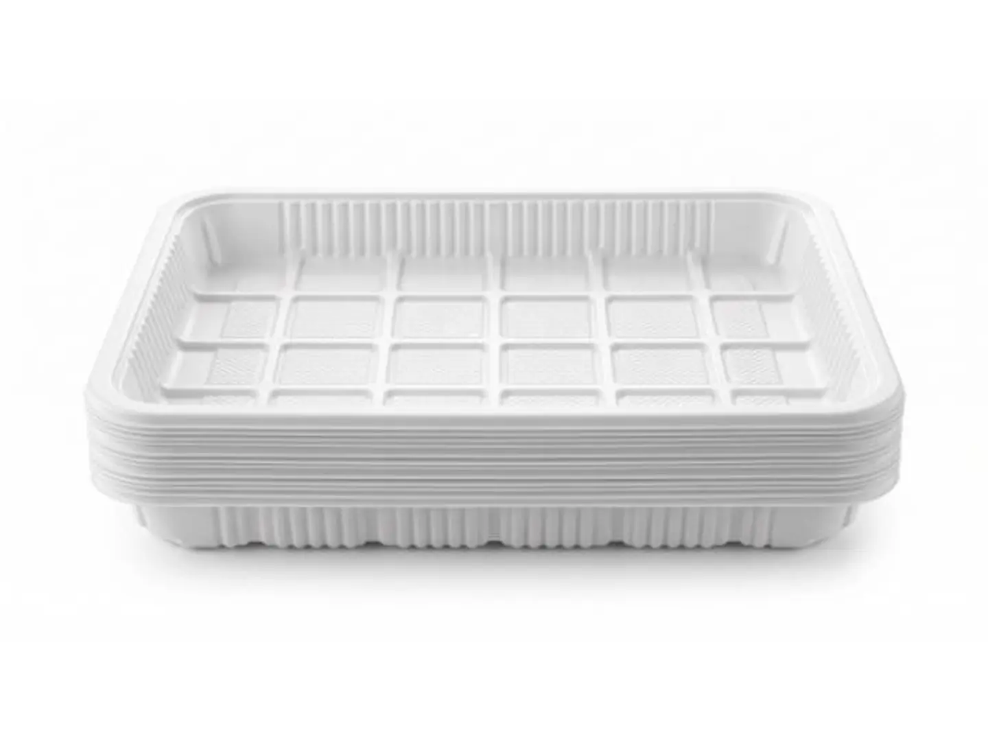 Rect Plastic Plate 3 Tipo