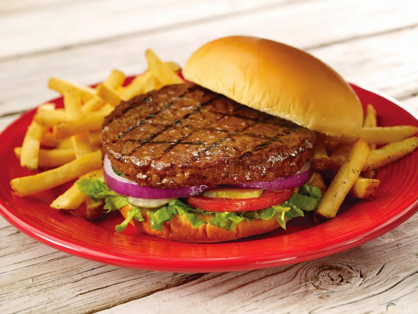 Kids Beef Burger With Fries