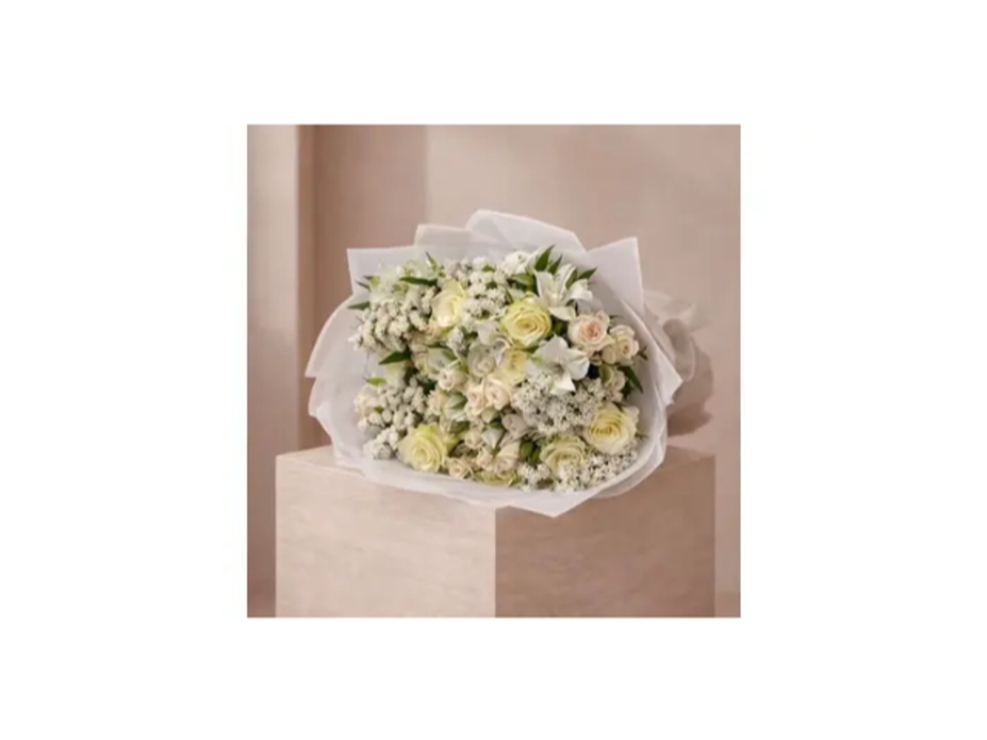 ملكة الاناقة