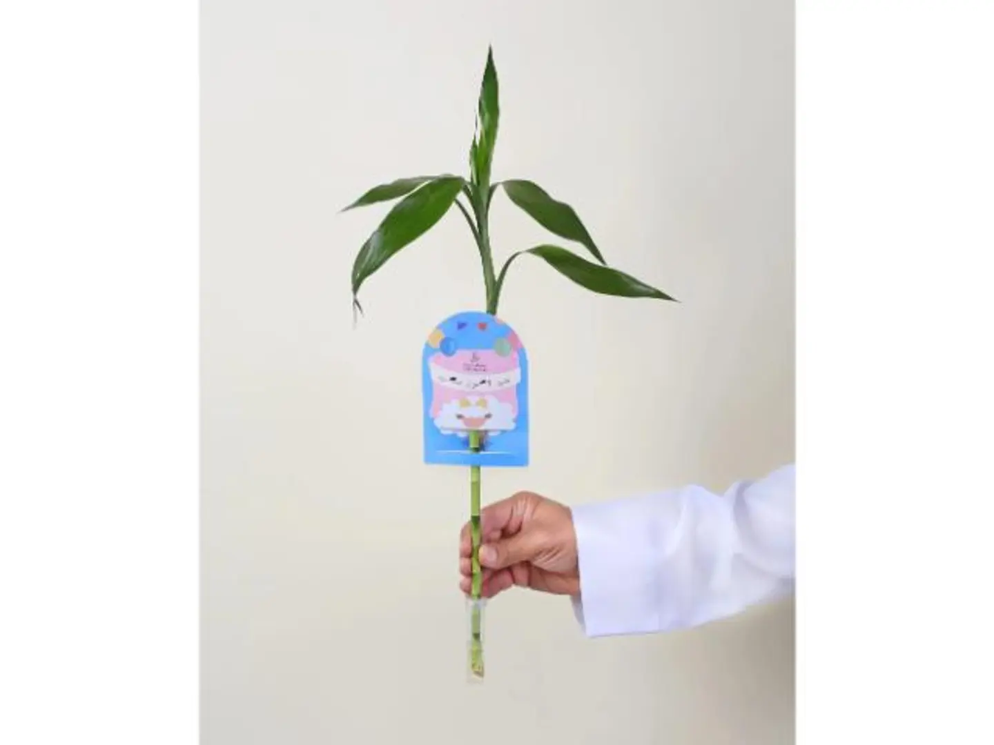 توزيعات ساق البامبو معلق بكارت عيد اضحى سعيد