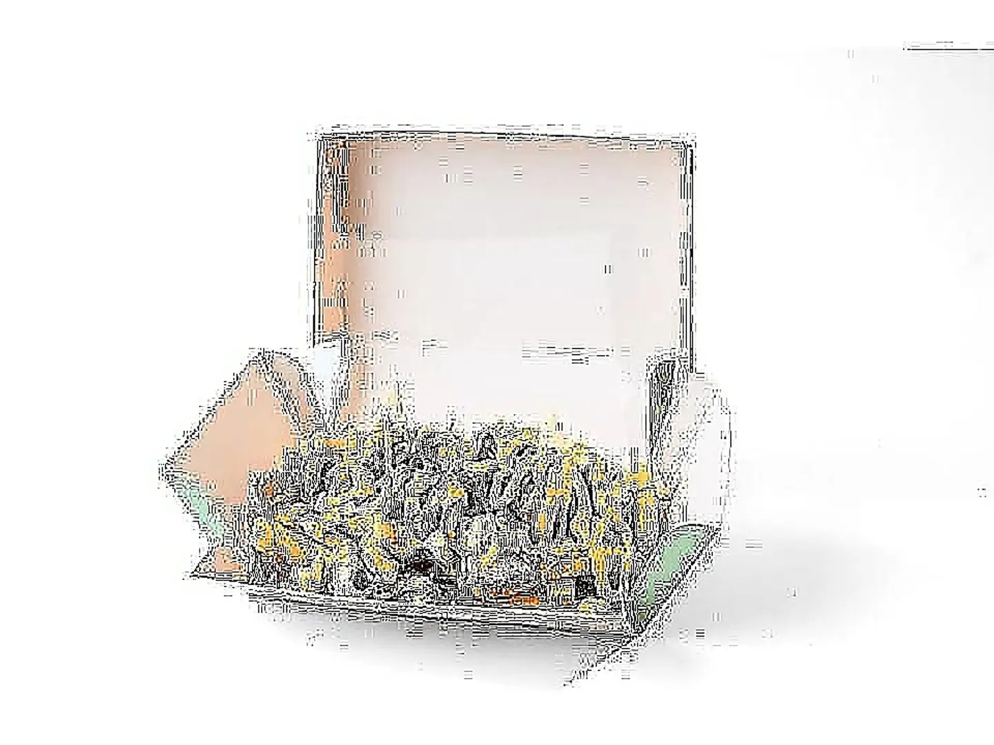 بطاطس راف