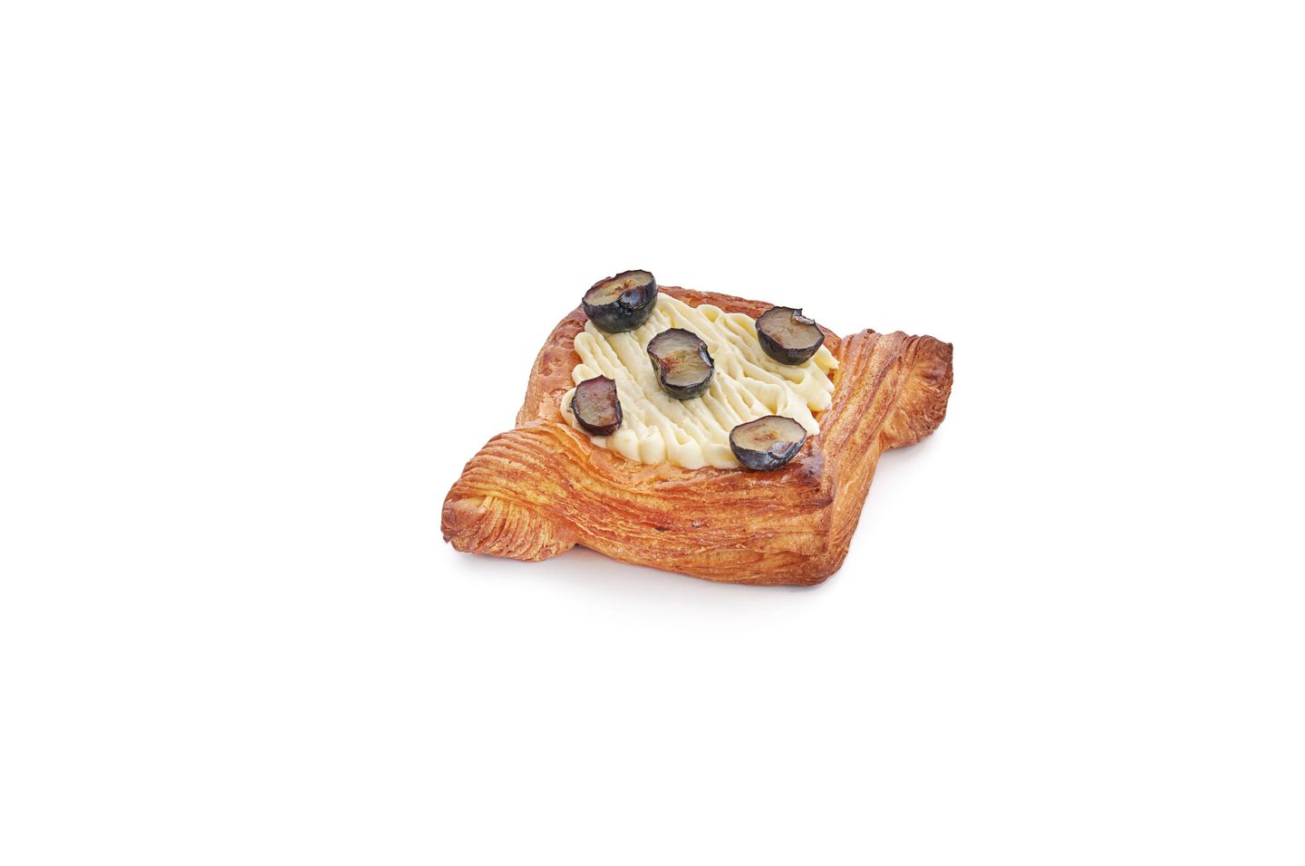 دانش توت