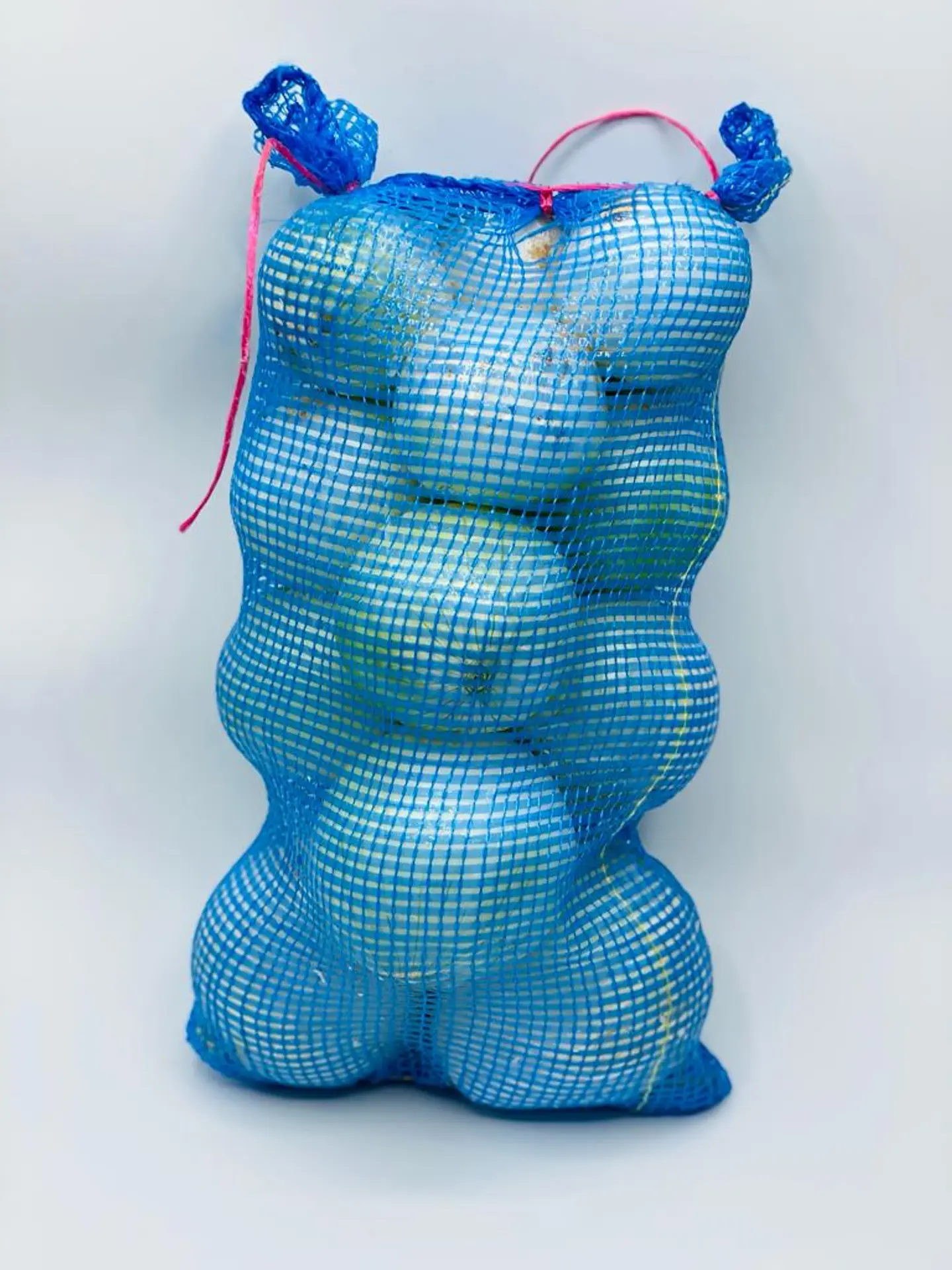 White Onion Bag