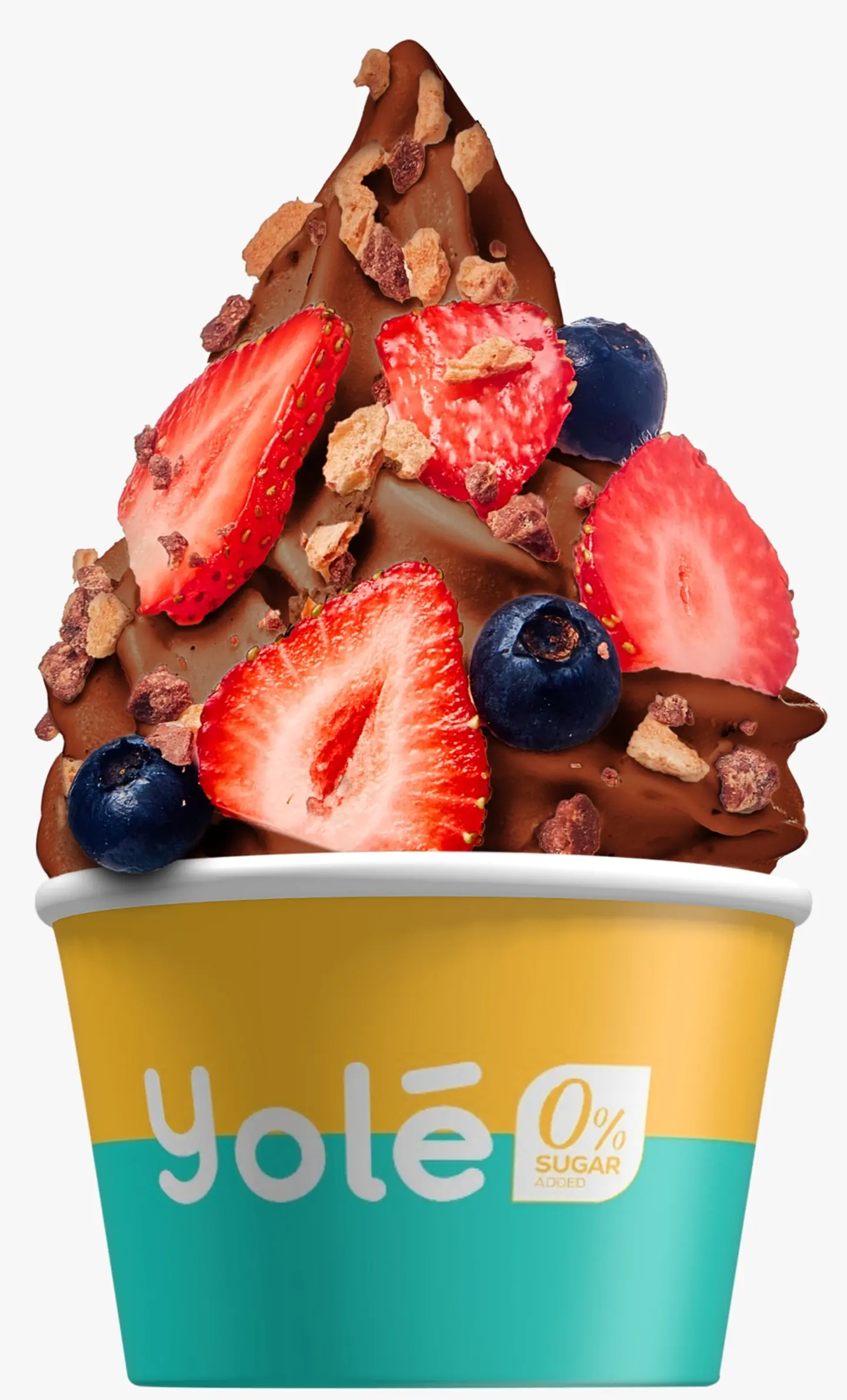 Ice Cream Chocolate Hazelnut Large