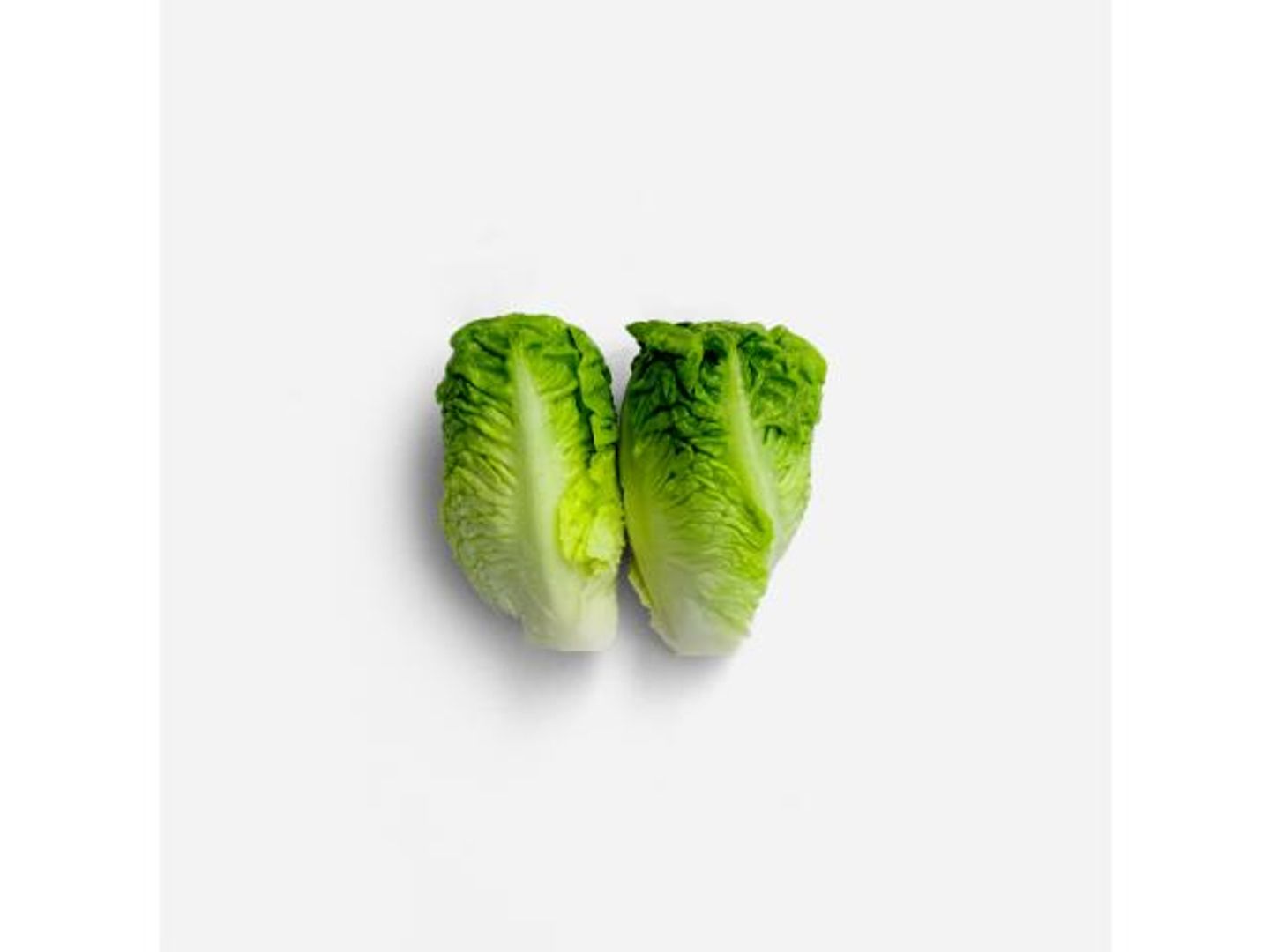 Baby Gem Lettuce   Dutch   500g