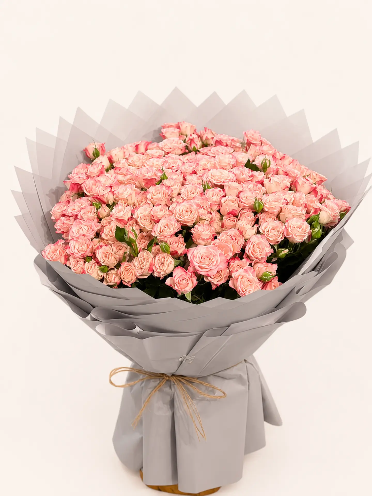 Sugar Rose