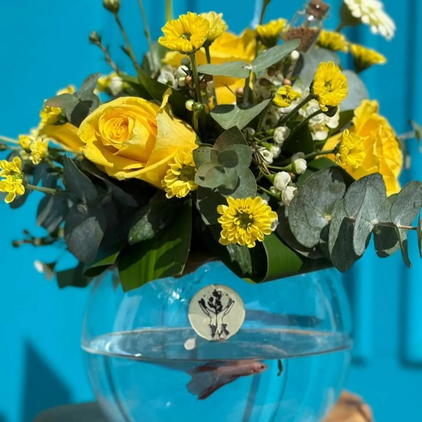 فازة سمك بورد اصفر