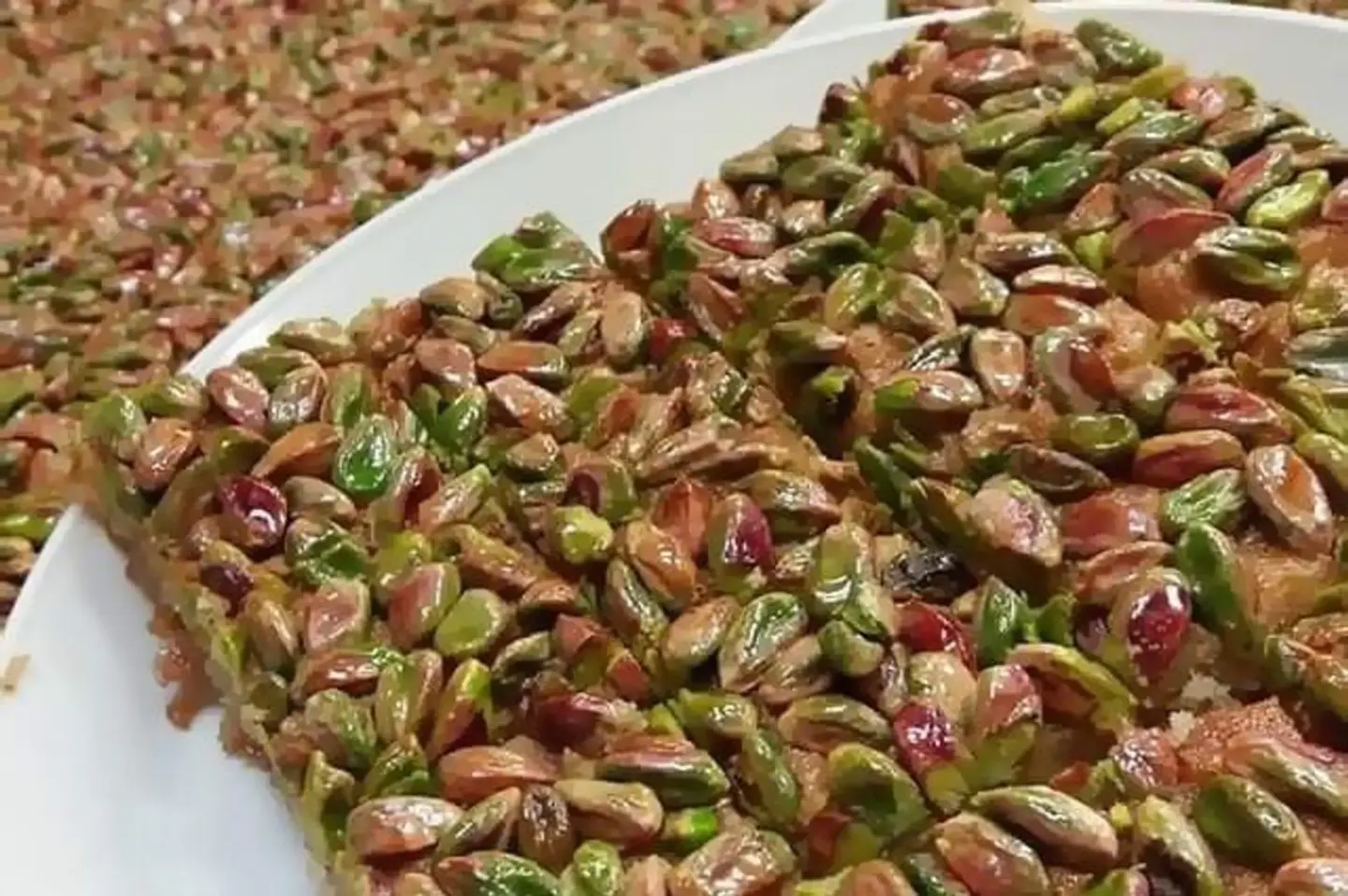 هريسة بالفستق الحلبي