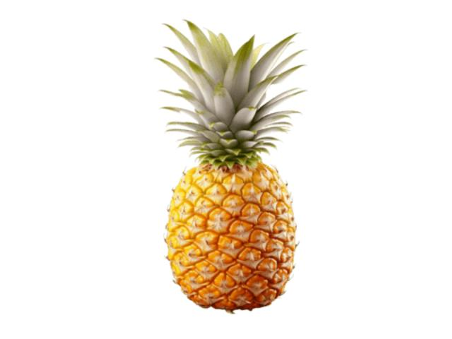 Pineapple