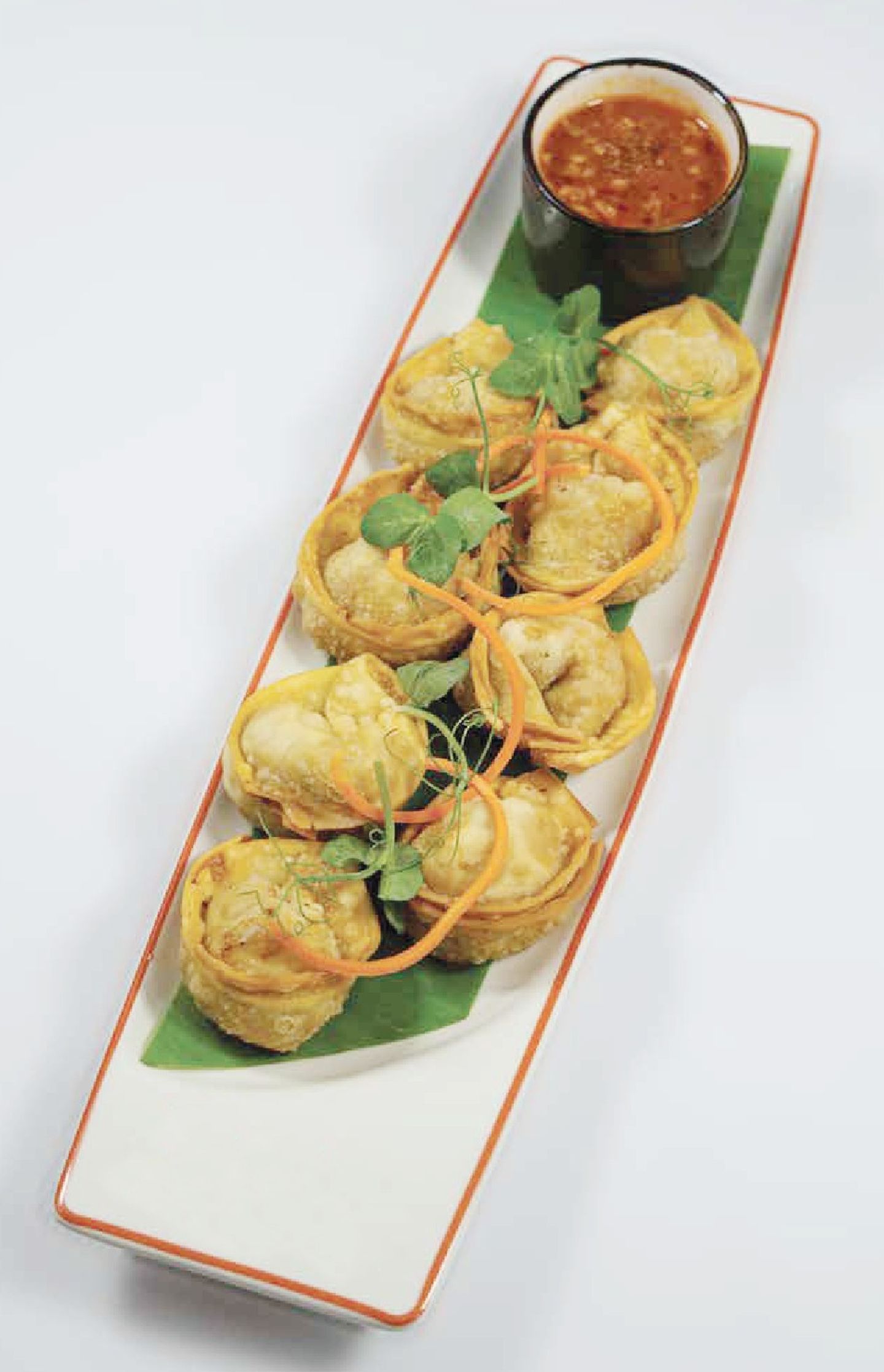 Veg Wanton