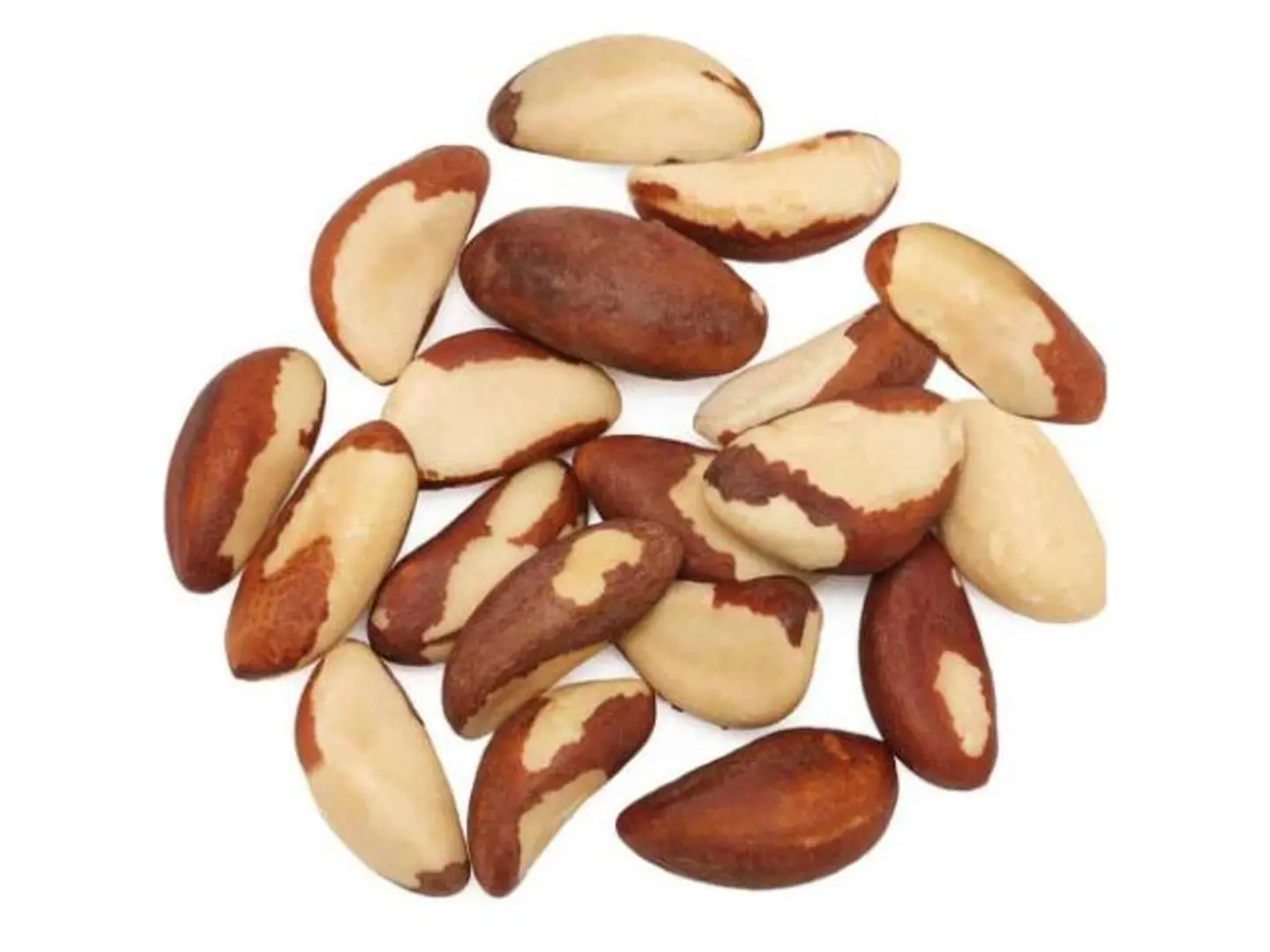 Jumbo Brazilian Almonds