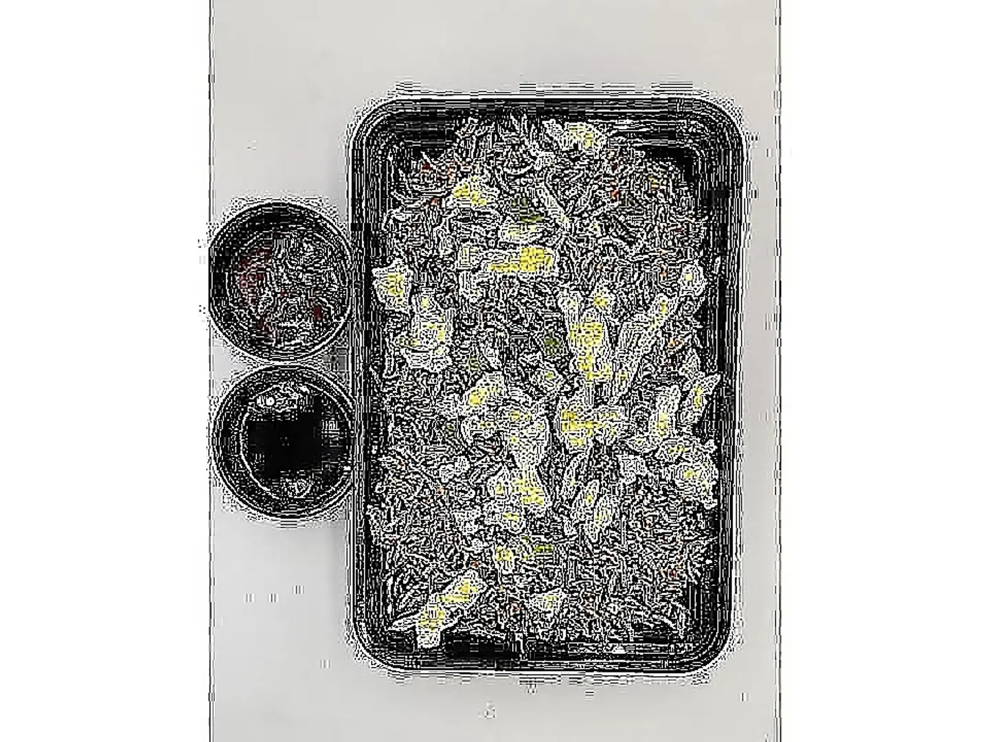 Schezwan Egg Fried Rice