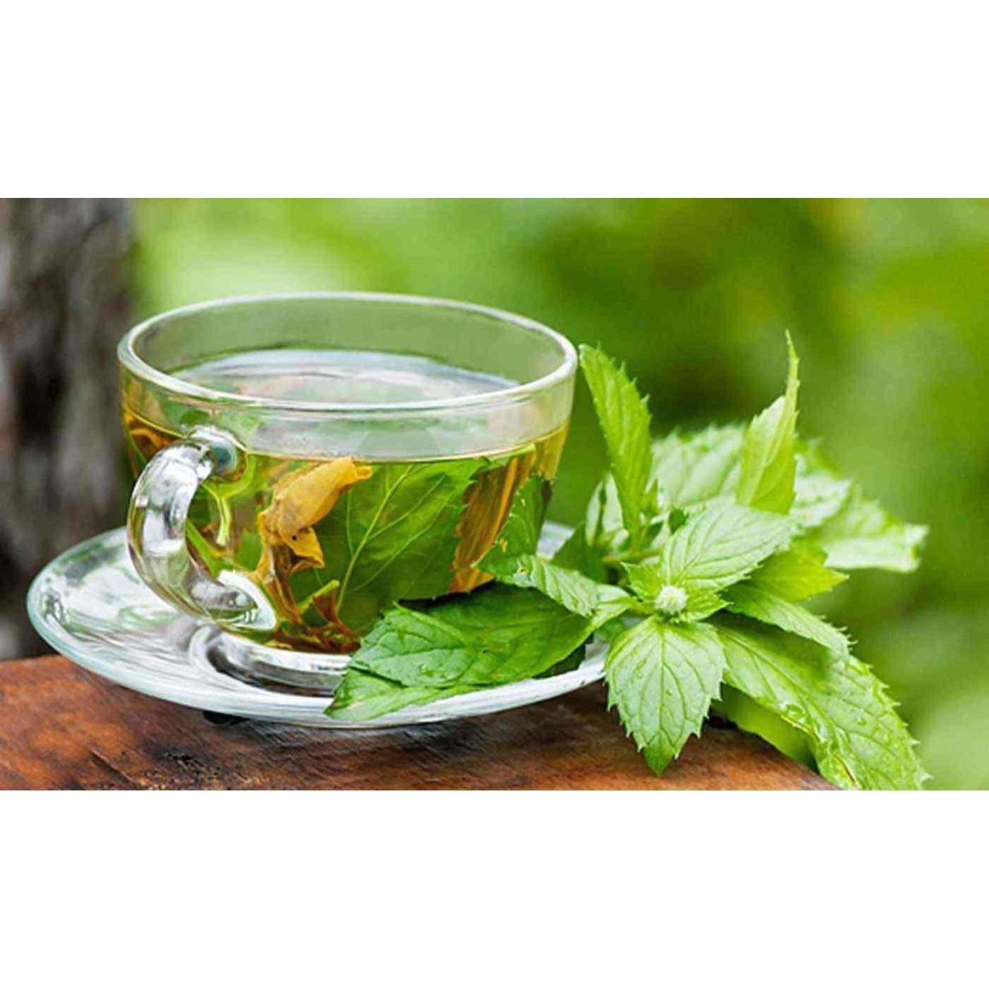 كوب شاهي أخضر