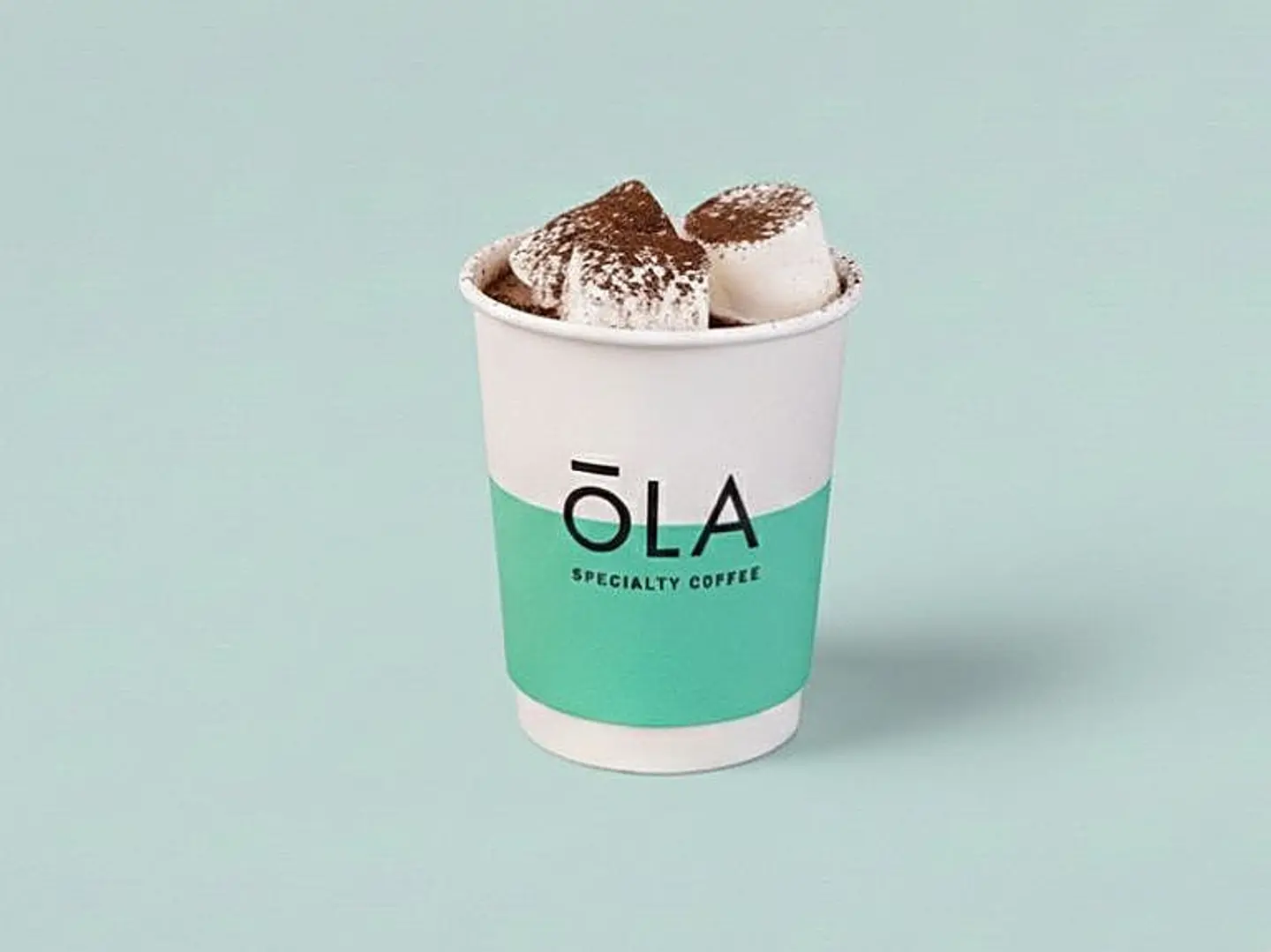 Hot Chocolate With Marshmallow