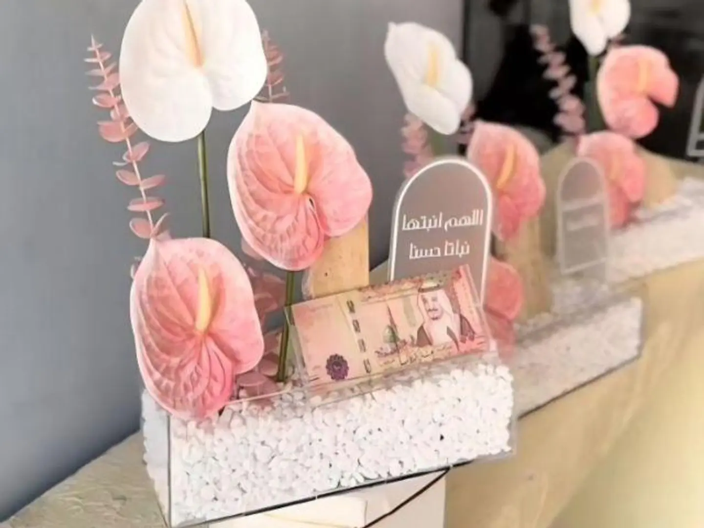 فازة مولودة 3