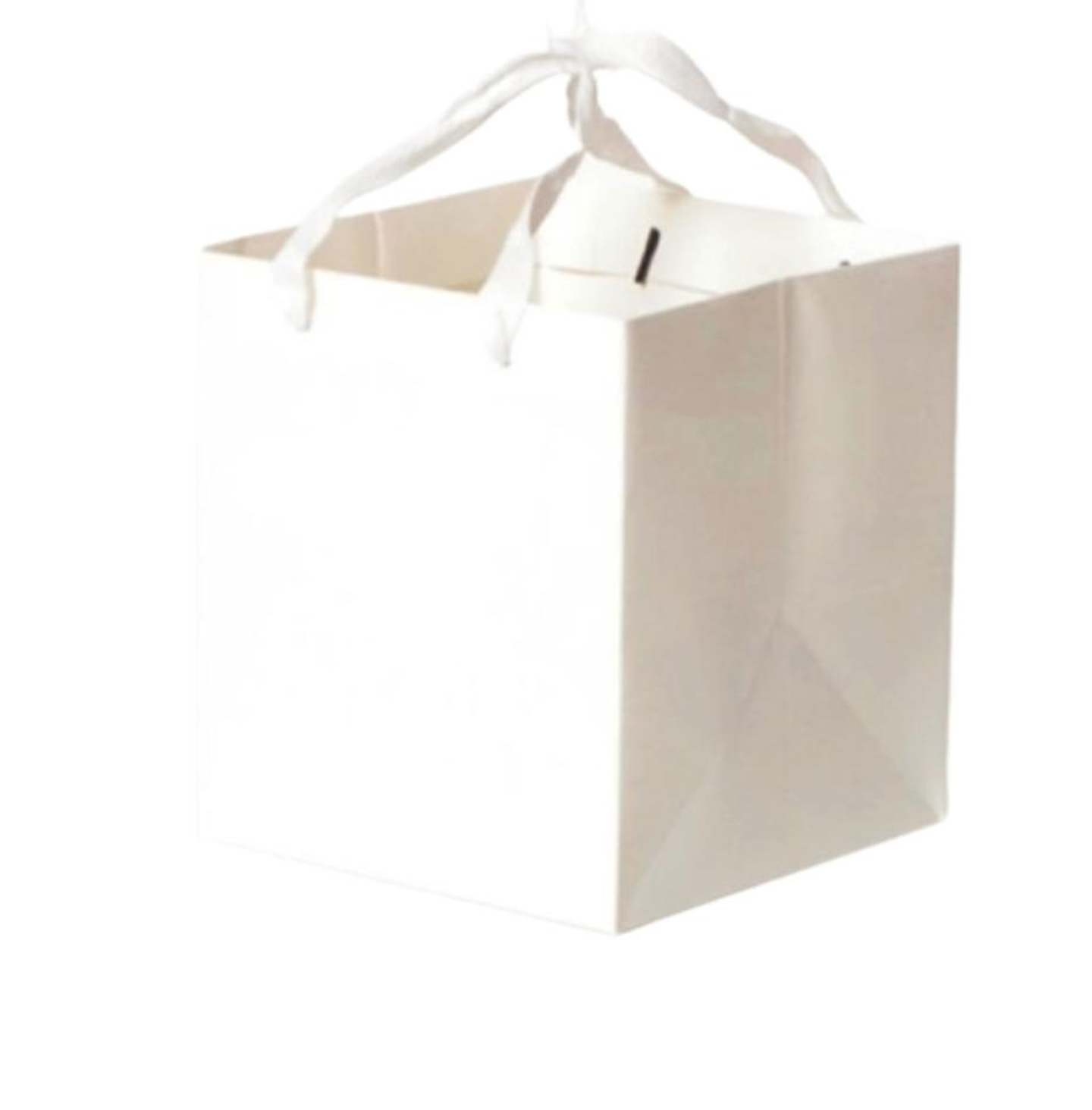 Small White Gift Bag