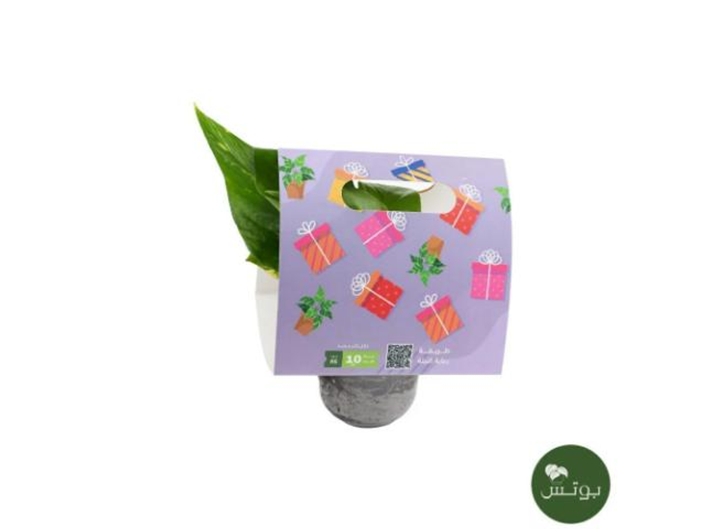 33  Boots Plant In Box Move