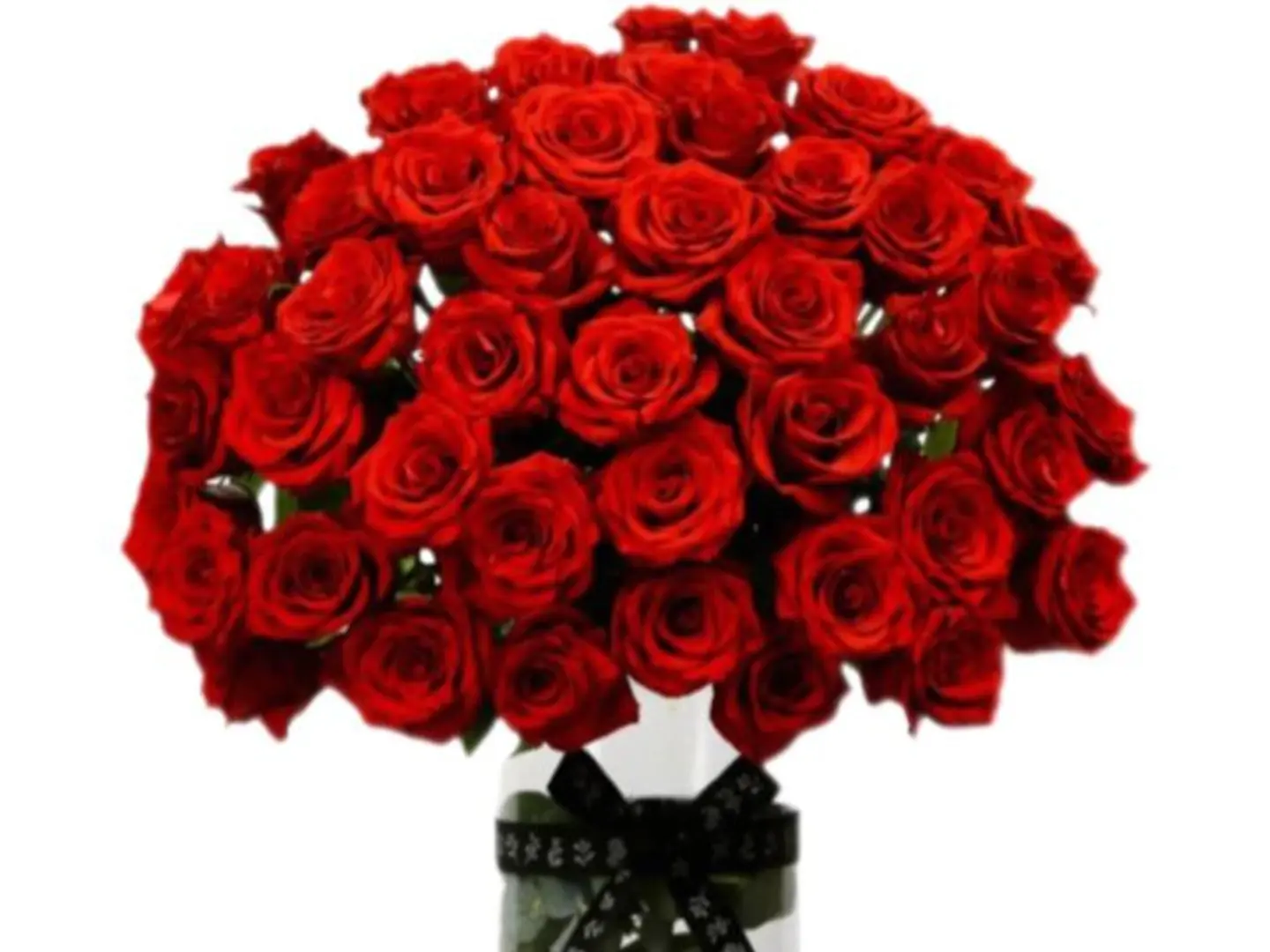 Fazat Almithaq Yaf 113