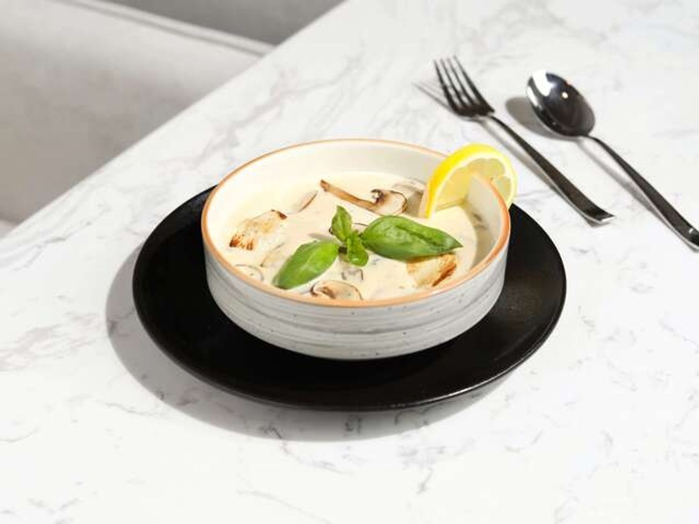 Chicken Mushroom Soup