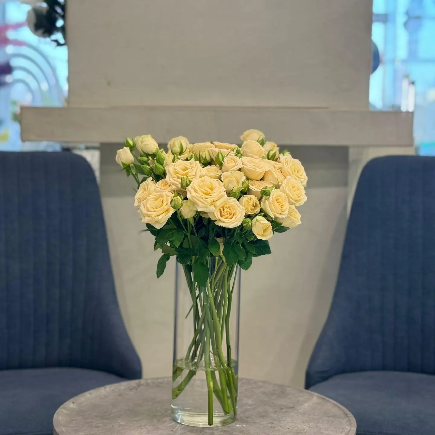 فازة بيبي روز 5