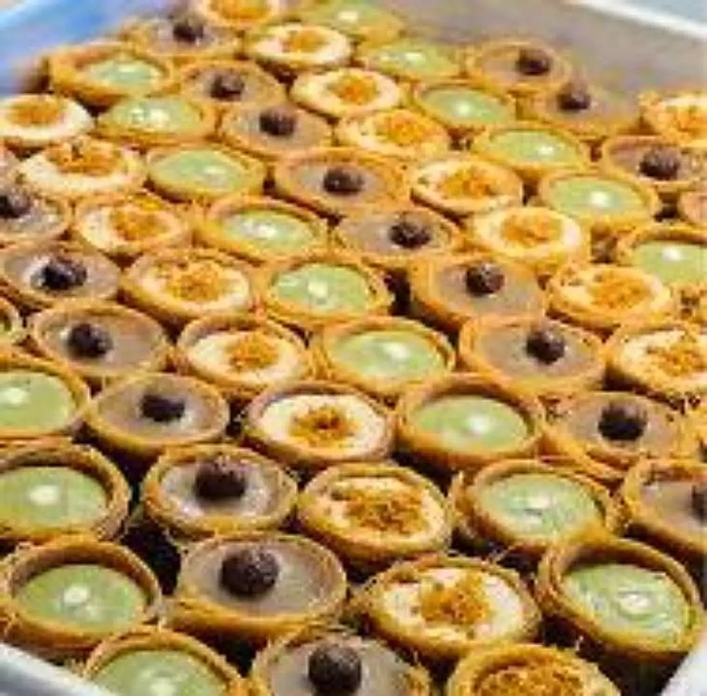 عش بلبل فستق لوتس نوتيلا - ربع كيلو