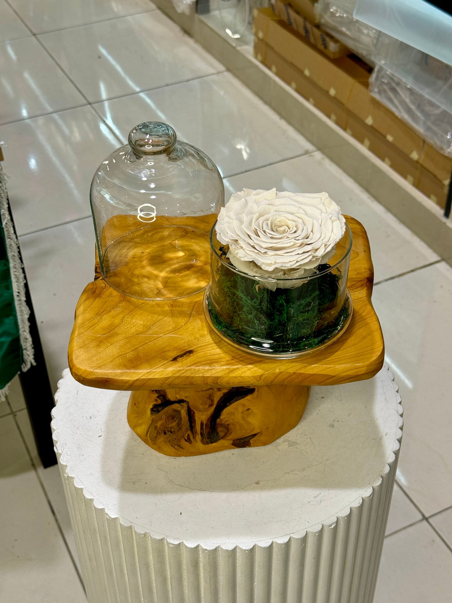 Everlasting White Rose