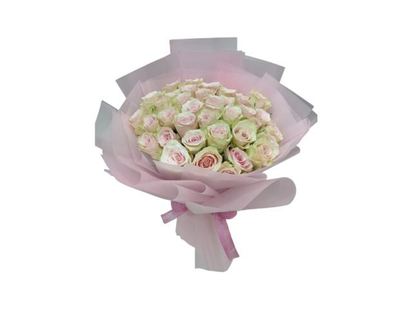 Pink Harmony