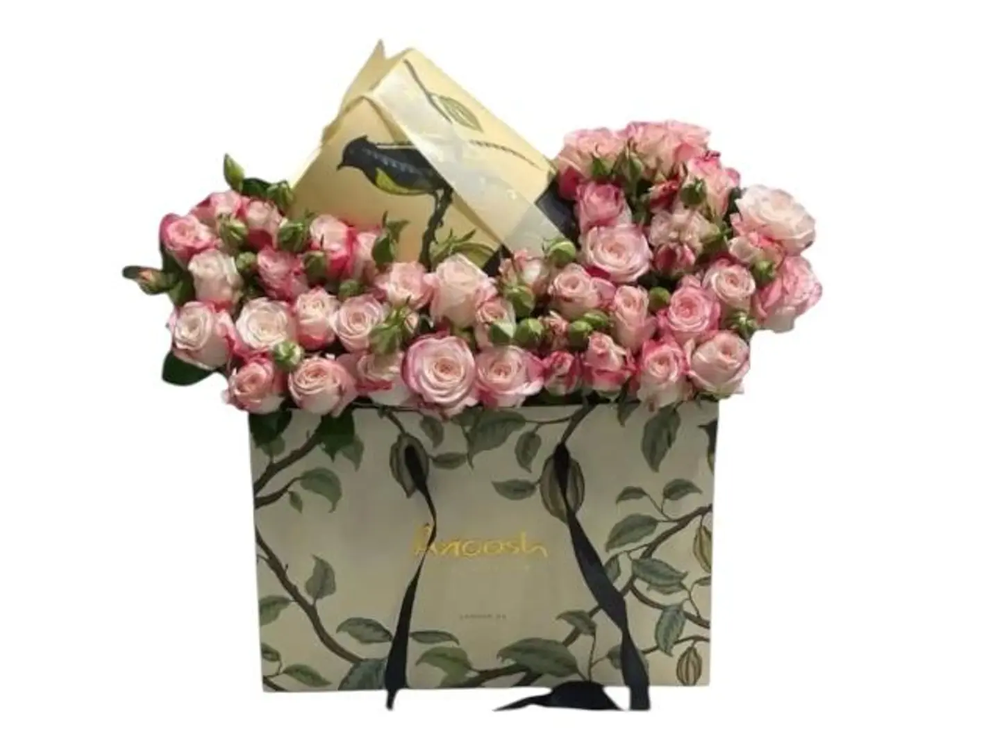 تنسيق ناعم مع كوكيز انوش