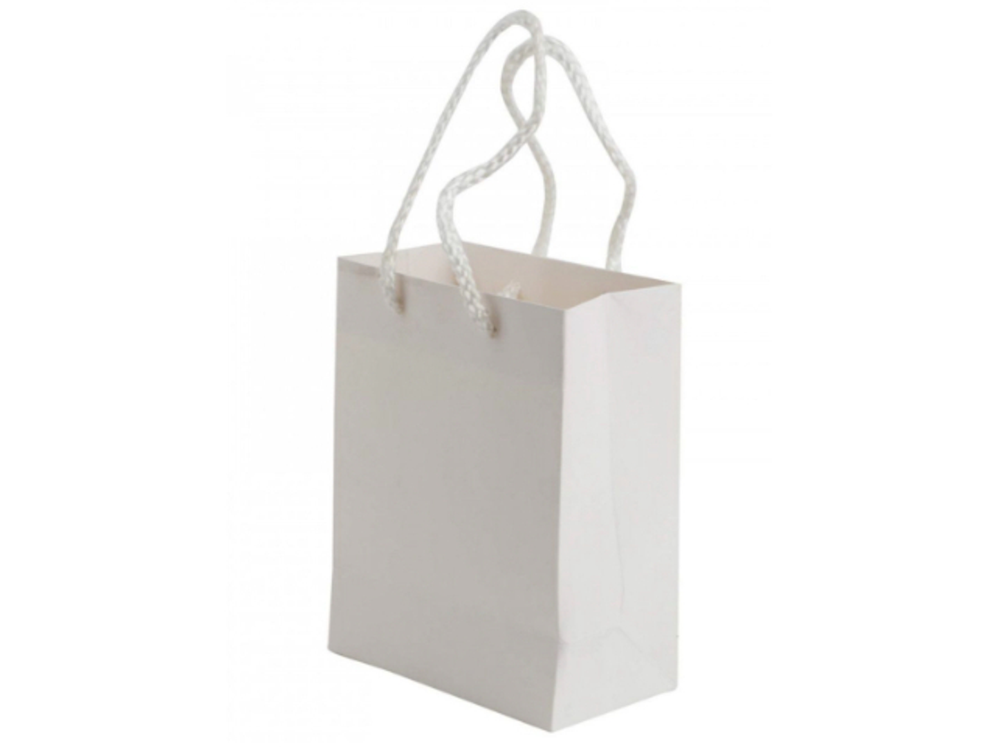 Medium White Gift Bag