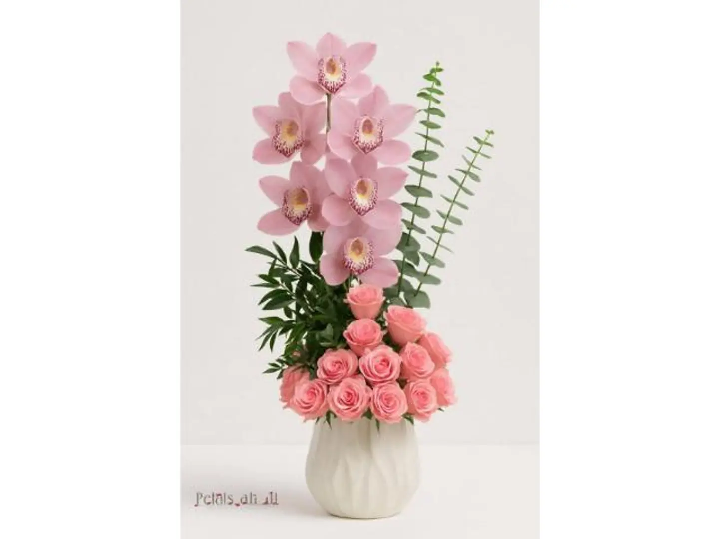 بيور أوركيد