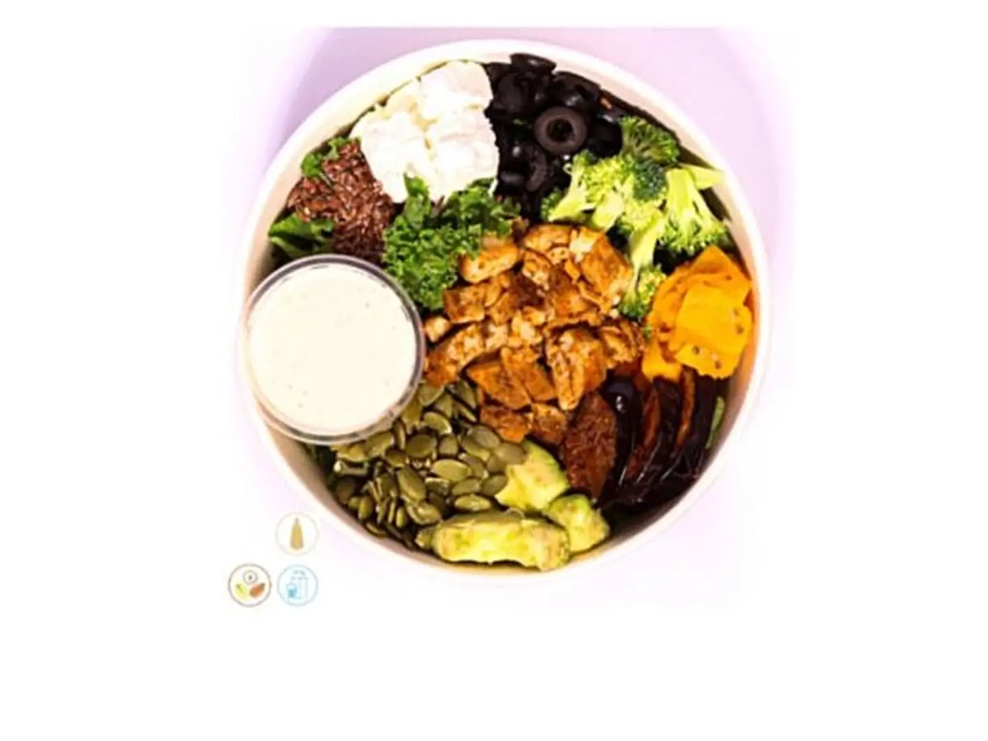 سلطه الكيتو