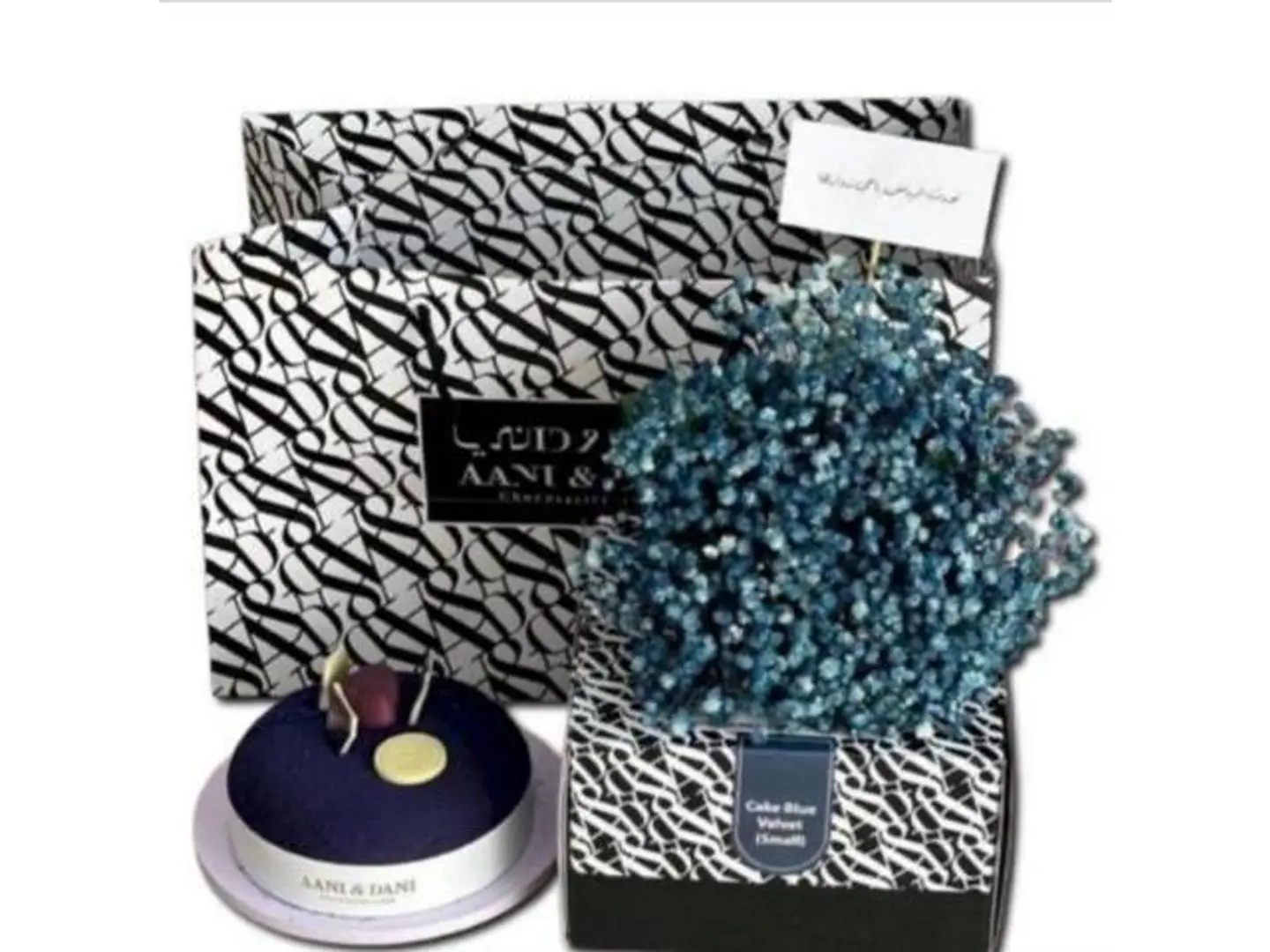 جلاكسي اني وداني مع جبسو فيلا