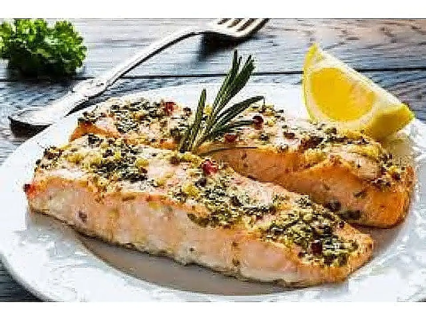 Salmon