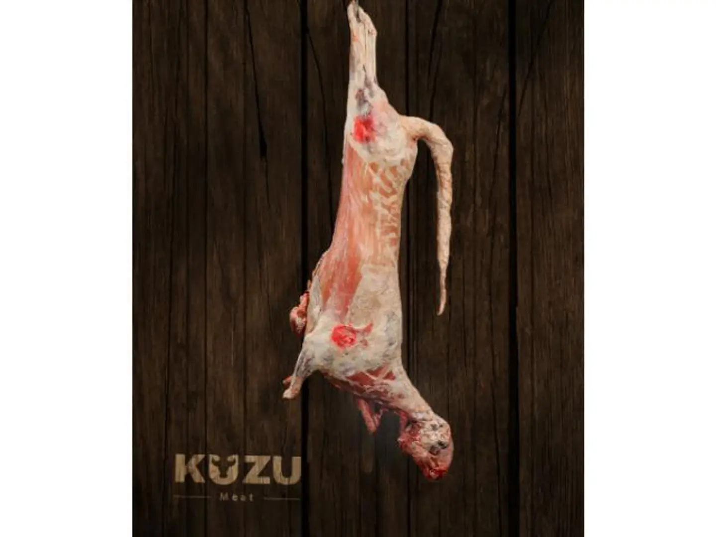 Fresh Barbary Lamb
