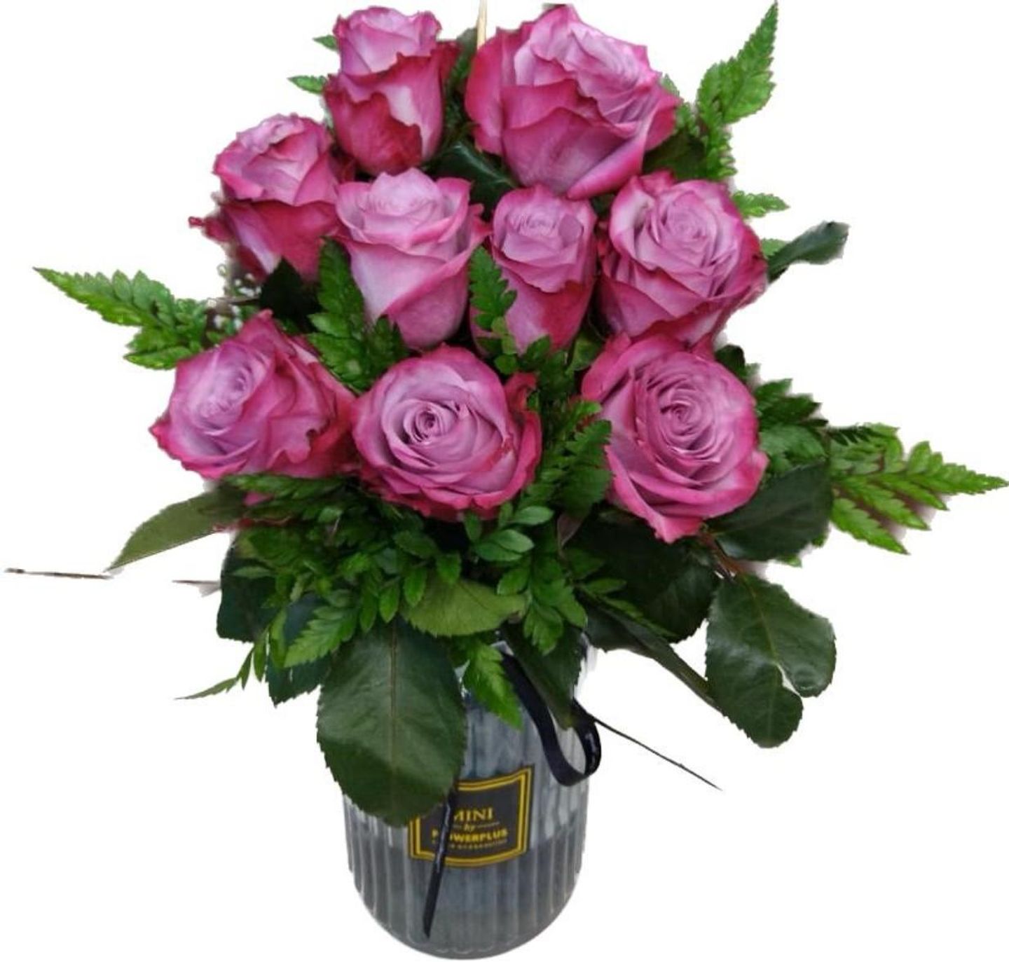 فازة 10
