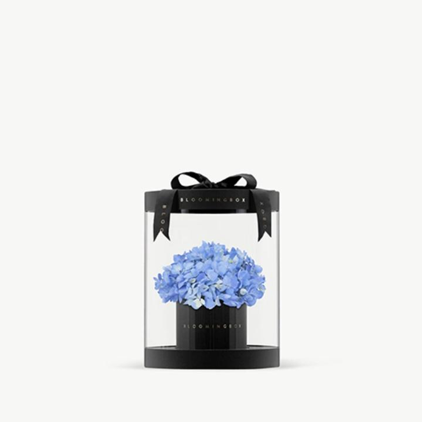Premium Hydrangeas Box Small