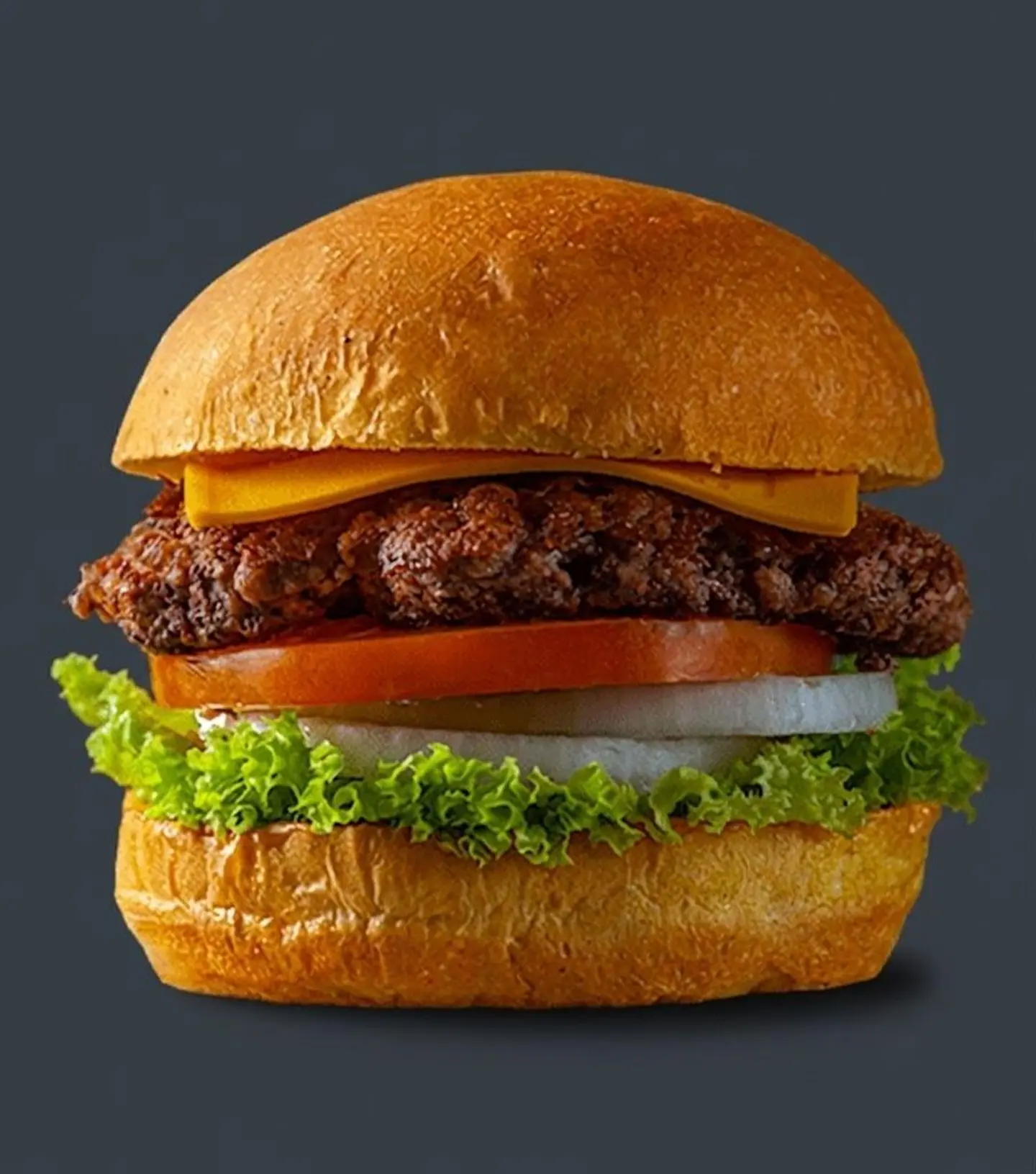 Single Cheese Burger