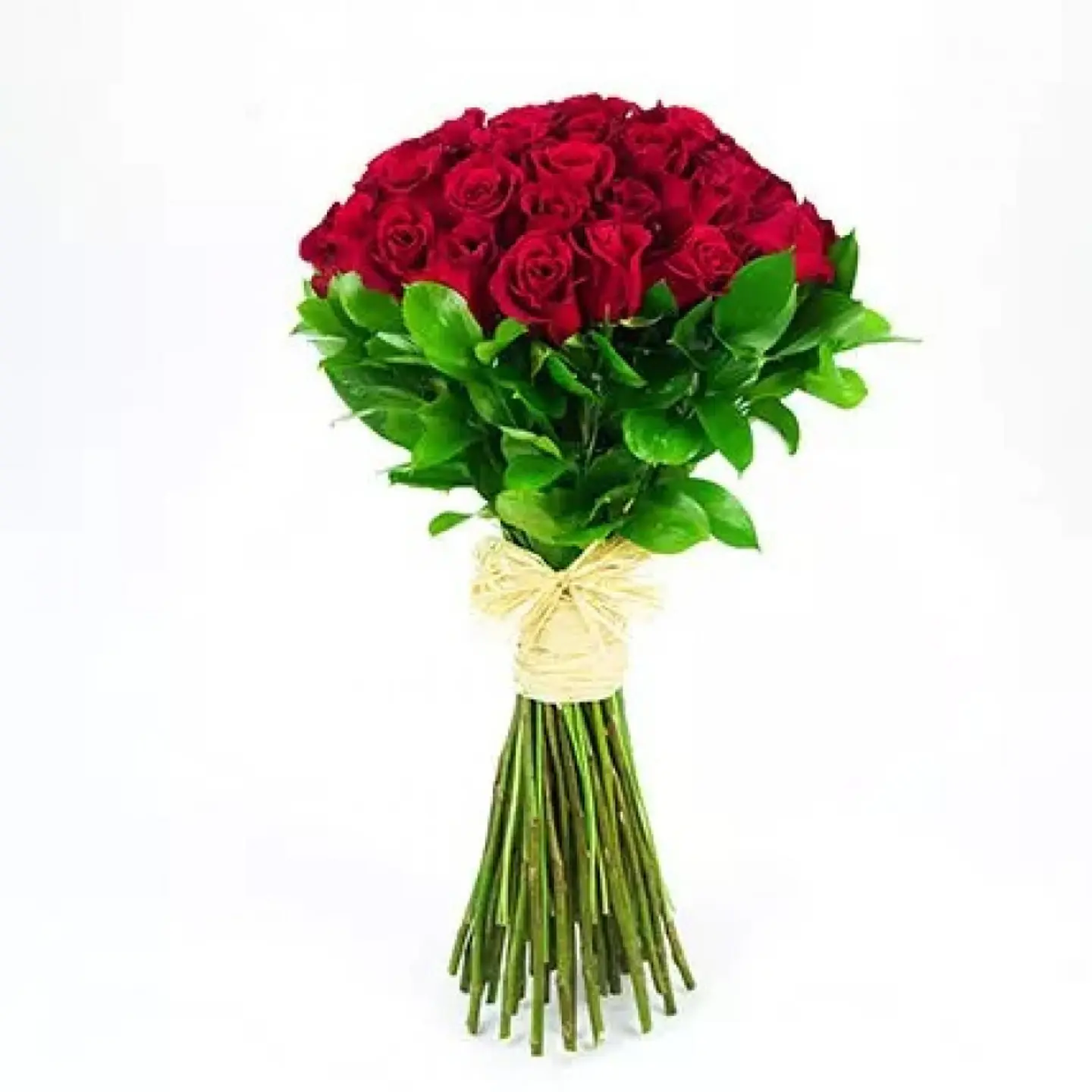 35 Elegant Roses