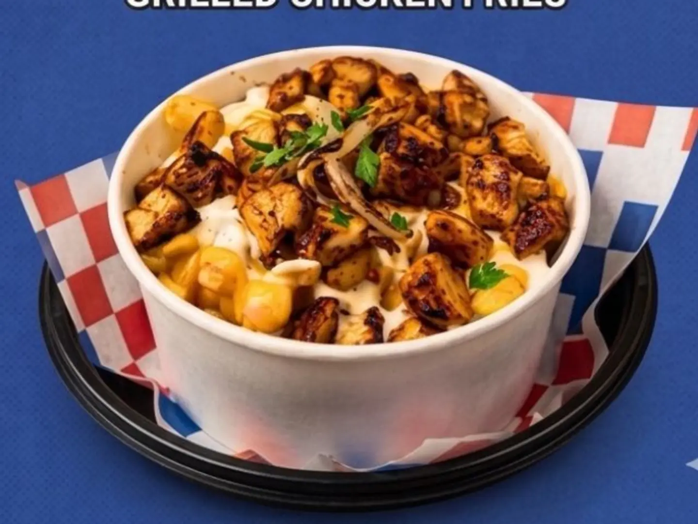 Grilled Chicken Fries