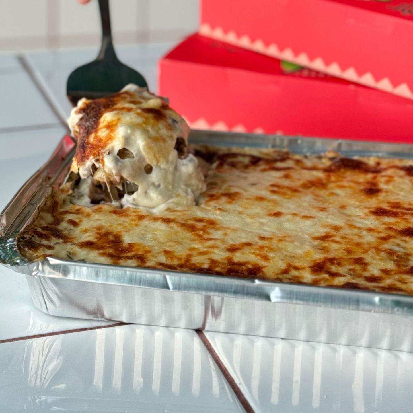 بشميلا الحجم الكبير