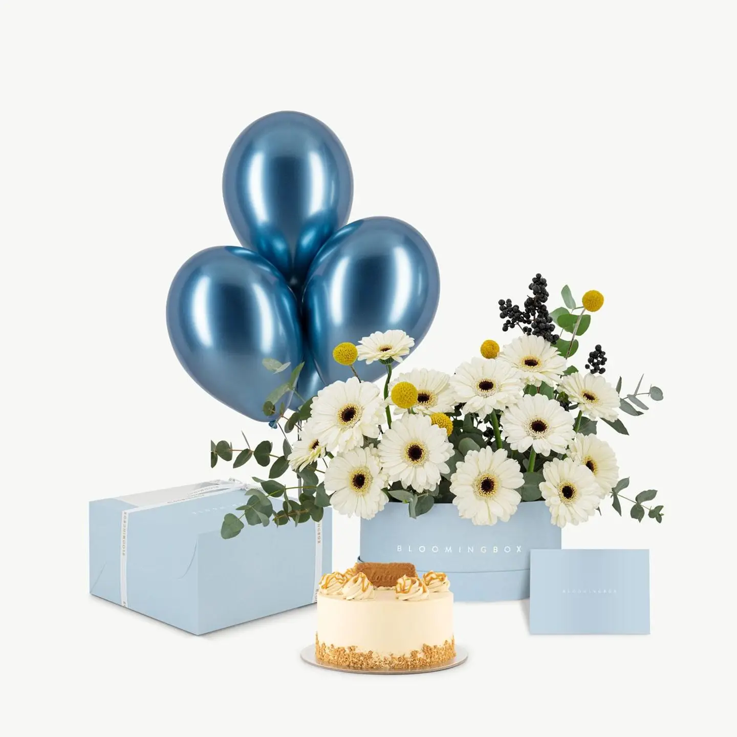 Cotton Blue Short Assortment With Cake