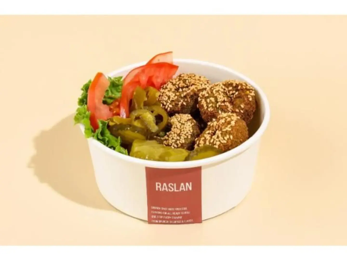 Falafel Plate