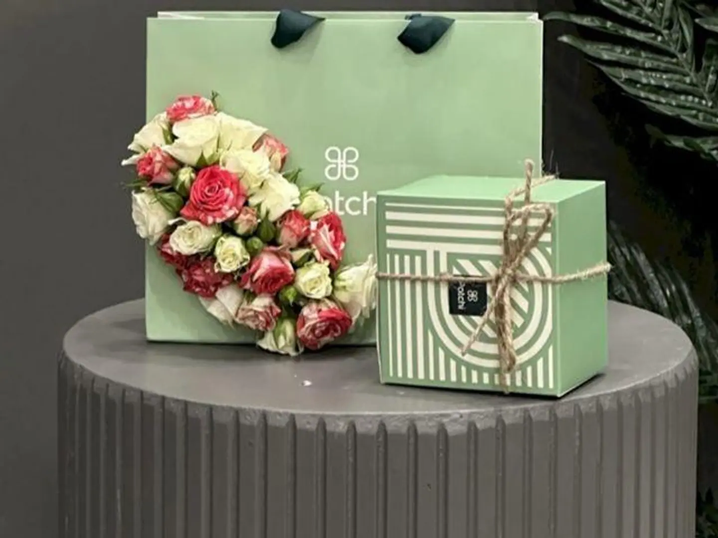 شكولاتة باتشي 15