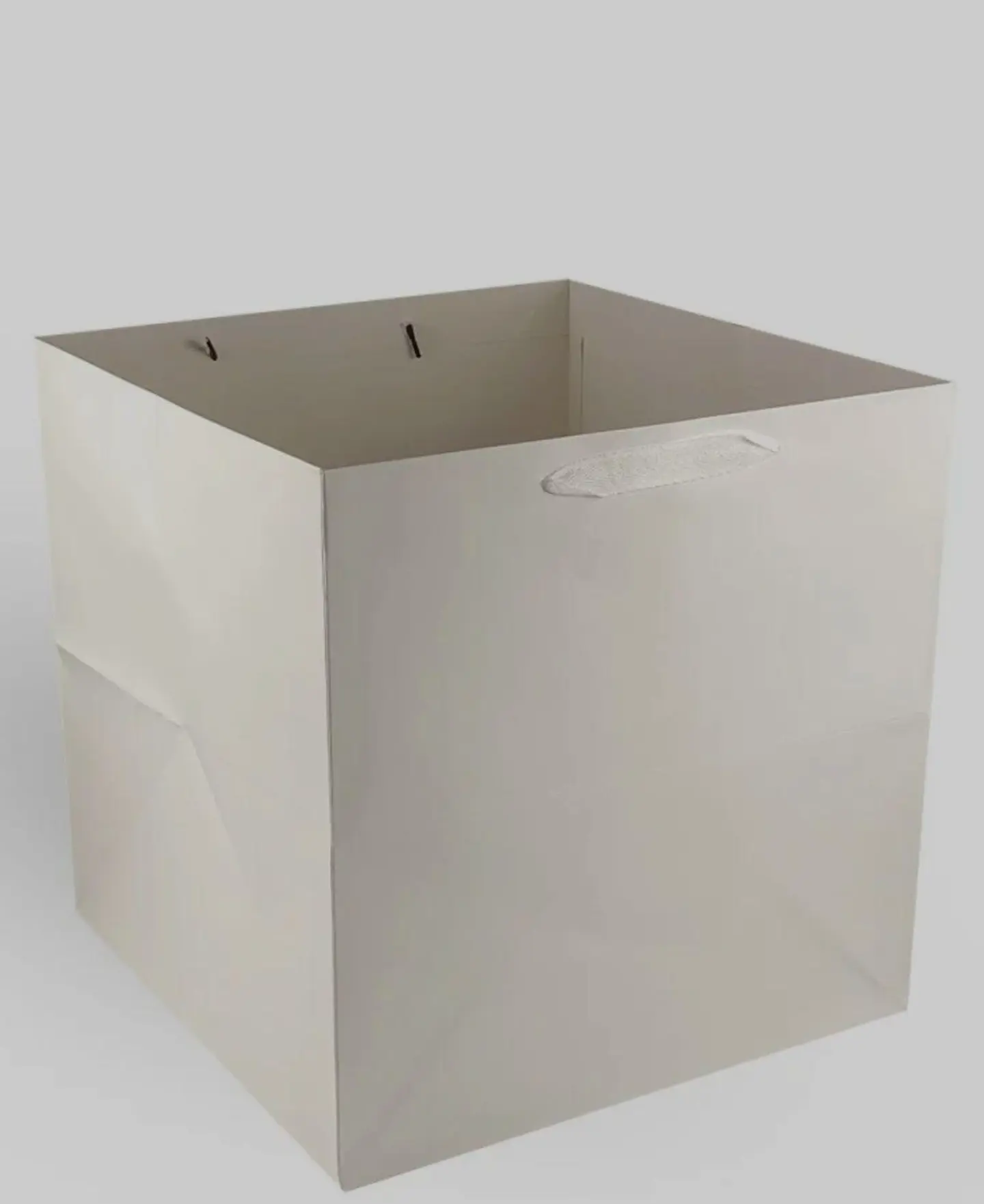 كيس هدايا حجم كبير