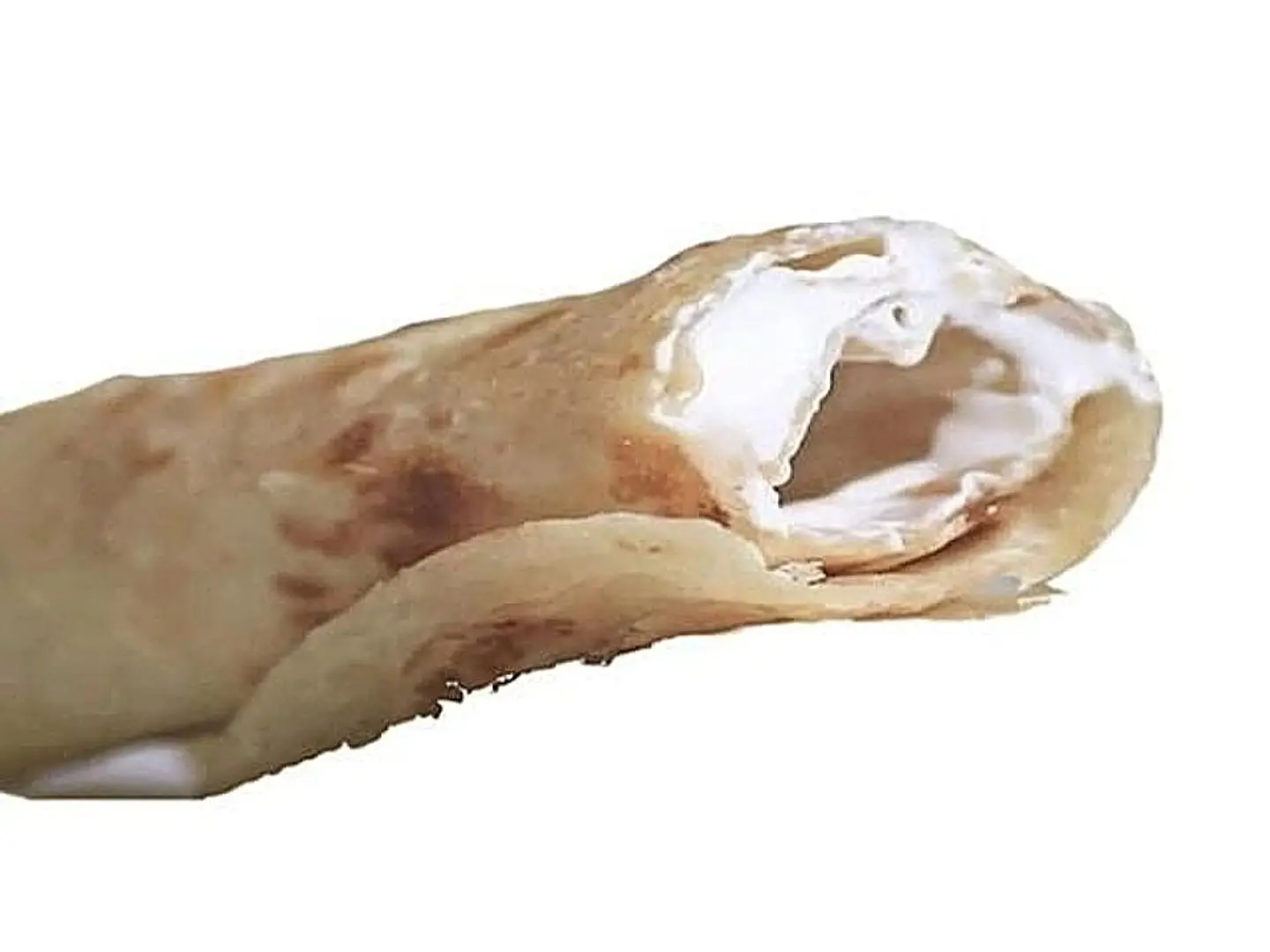 شباتي جبن حلوم