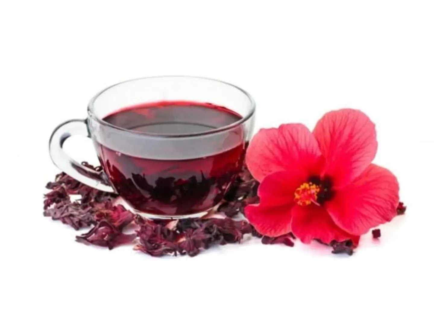 Hot Hibiscus