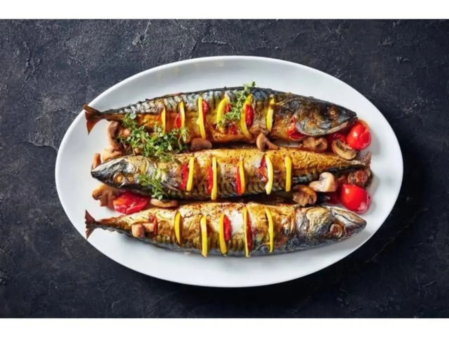 Mackerel