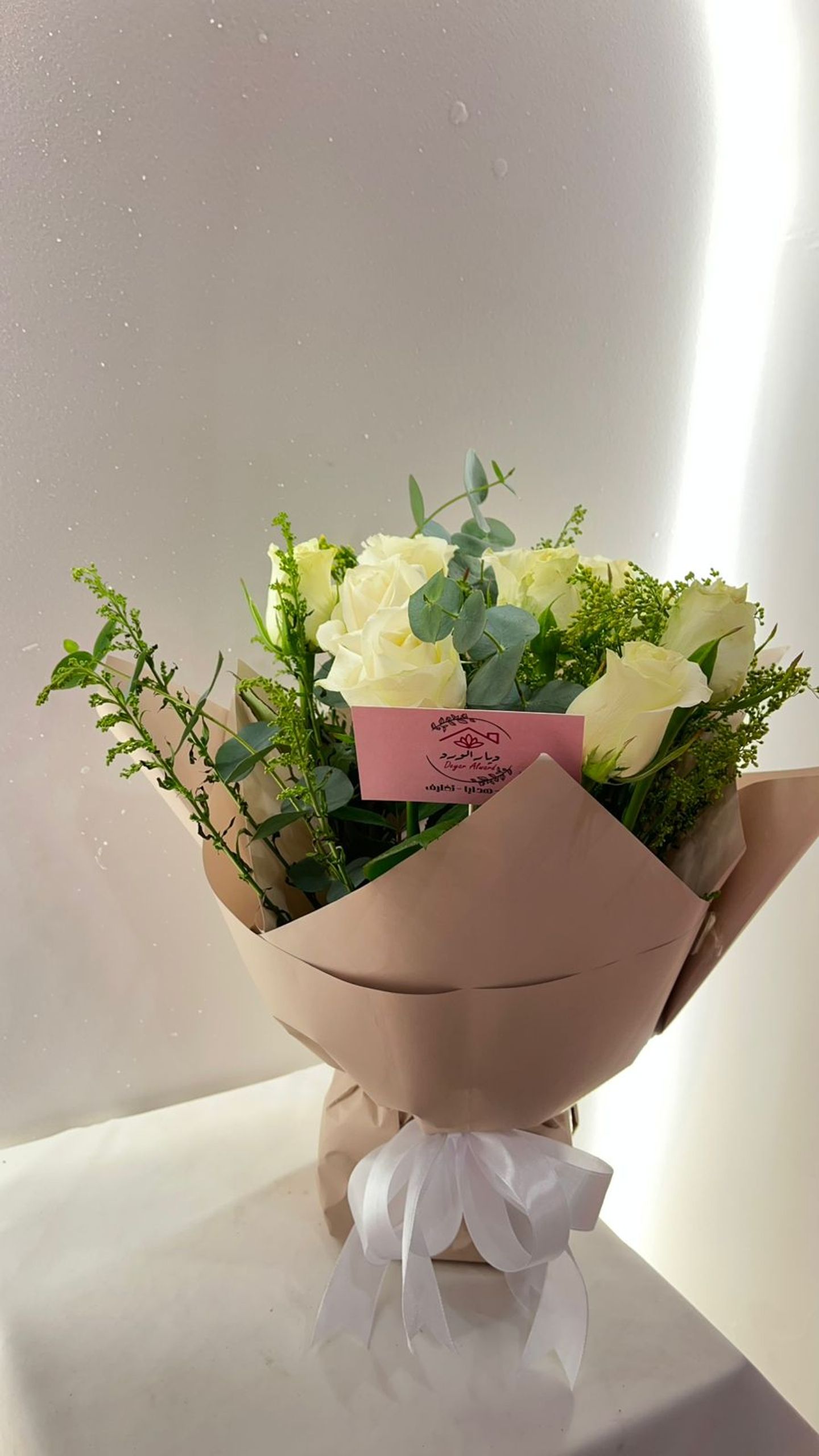دي ار23