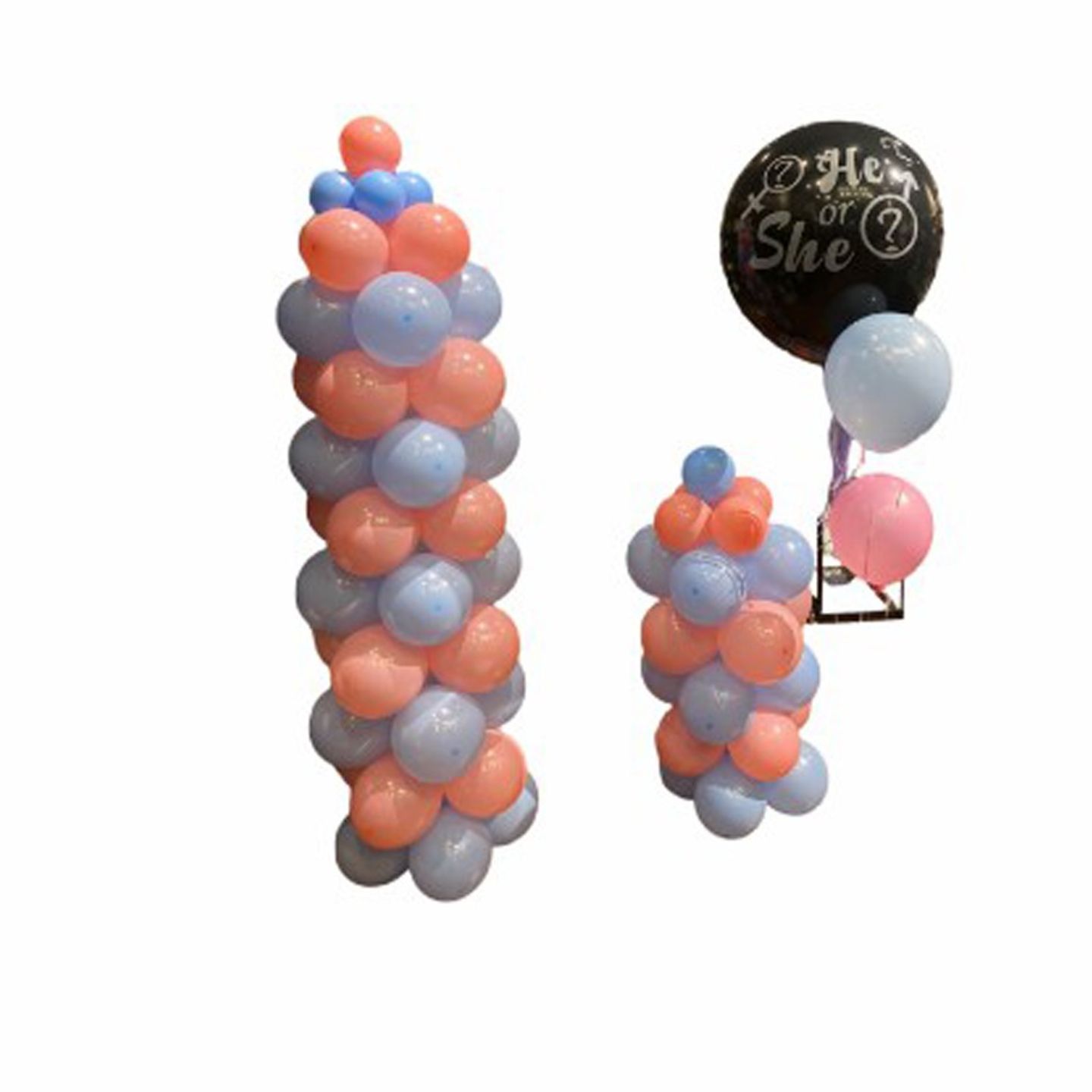 Fetal Gender Party